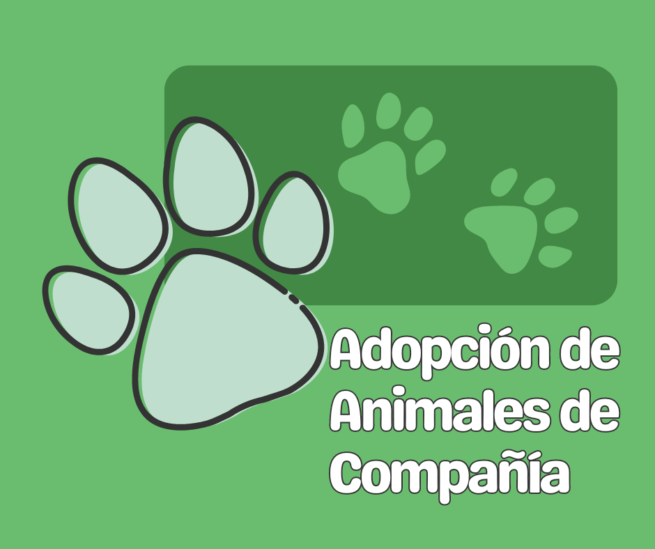 Adopción de animales de compañía